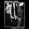 12inch Vinyl Single - Group Du Jour - Wonderful Vision