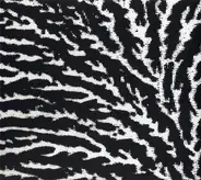 Grouper - Cover the Windows and the Walls
