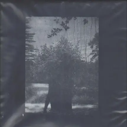Grouper - Ruins