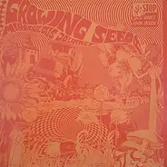 Growing Seeds - Miraculous Journey