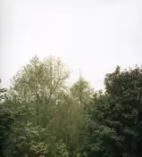 Growing - SOUL OF THE RAINBOW