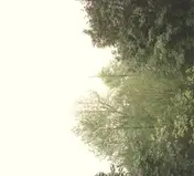 Growing - The Soul Of The Rainbow And The Harmony Of Light