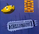 CD Single - Grobi Und Seine Freunde Feat. Space Ernie - Sesamstrasse
