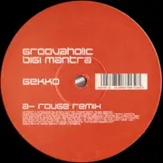 12'' - Groovaholic - Bigi Mantra
