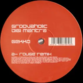 Groovaholic - Bigi Mantra