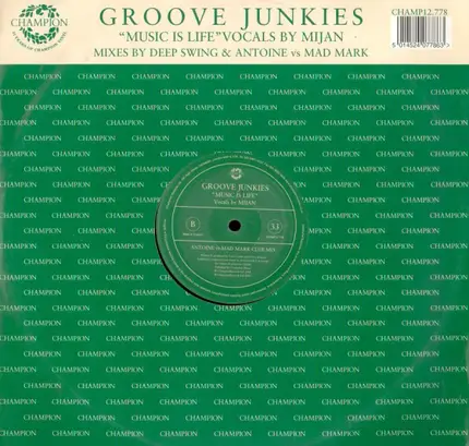 Groove Junkies - Music Is Life