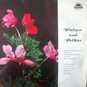 Großes Funkorchester - Walzer Und Polkas