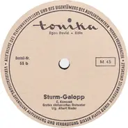 Großes Sinfonisches Orchester Ltg. Albert Nieder - Sturm-Galopp