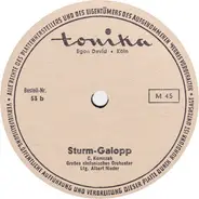 Großes Sinfonisches Orchester Ltg. Albert Nieder - Sturm-Galopp