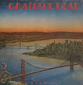 The Grateful Dead - Dead Set