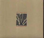 Gravenhurst - Flashlight Seasons