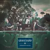 LP - Graveyard - Hisingen Blues - Bi-coloured Green/Beige
