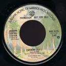 7inch Vinyl Single - Graham Central Station - Entrow