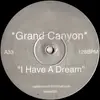 12inch Vinyl Single - Grand Canyon - I Have A Dream