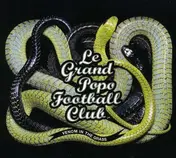 Grand Popo Football Club - Venom in the Grass