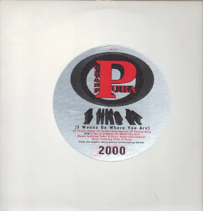 Grand Puba - i like it (i wanna be where you are)