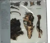 Grand Salvo - Soil Creatures