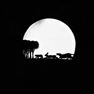 Grand Salvo - Death