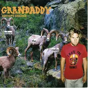 Grandaddy - Artist's Choice: Below the Radio