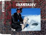 Grandaddy - The Crystal Lake