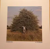 Grandbrothers - All The Unknown