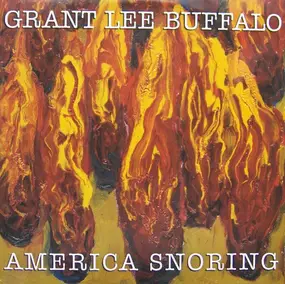 Grant Lee Buffalo - America Snoring