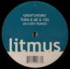 12inch Vinyl Single - GranTurismo - Them & Me & You (Ian Carey Remixes)