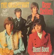 Grapefruit - Dear Delilah