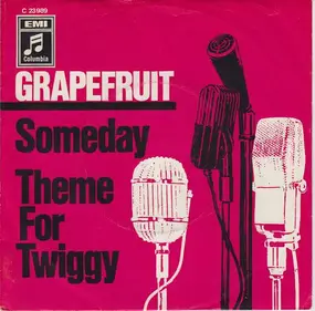 Grapefruit - Someday / Theme For Twiggy