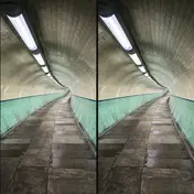 Grasscut - Overwinter