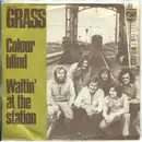 7inch Vinyl Single - Grass - Colour Blind