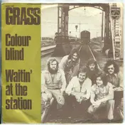 Grass - Colour Blind
