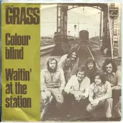 7inch Vinyl Single - Grass - Colour Blind