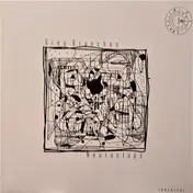 Grey Branches - Neuroclaps LP