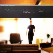 10'' - Greyboy - Mastered The Art