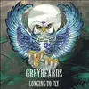 LP - Greybeards - Longing To Fly (ltd.Vinyl)