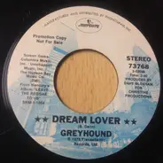 Greyhound - Dream Lover / Wappadusa