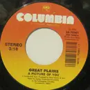 7inch Vinyl Single - Great Plains - A Picture Of You/Give It Some Time