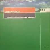 Greenfield - Took My Love Away / The Moment