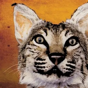 Greenhornes - Saying Goodbye