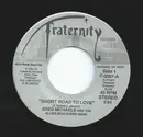 7inch Vinyl Single - Greg Michaels And The Allies Boulevard Band - Short Road To Love