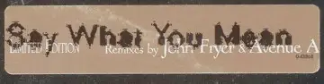 Greg Garing - Say What You Mean