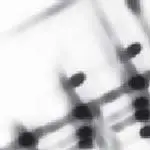 GREGOR SAMSA - 27:36+2DOT