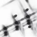 CD - Gregor Samsa - 27:36