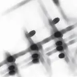 Gregor Samsa - 27:36