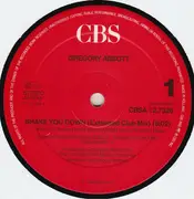 12inch Vinyl Single - Gregory Abbott - Shake You Down (Extended Club Mix)