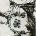 GRIZZLY BEAR - Horn of Plenty