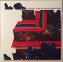 Double LP - Grizzly Bear - Painted Ruins - 180g