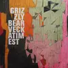 Double LP - Grizzly Bear - Veckatimest