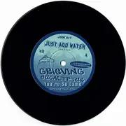 7inch Vinyl Single - Grieving Eucalyptus - You're So Lame